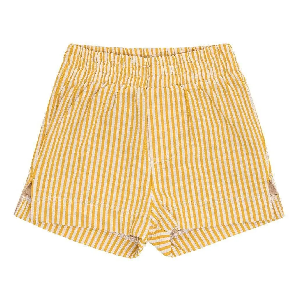 Canary Stripe Mini Swim Trunk