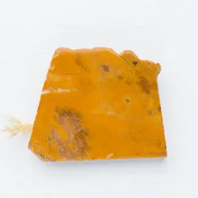 Jasper - Yellow, Slab, Polished