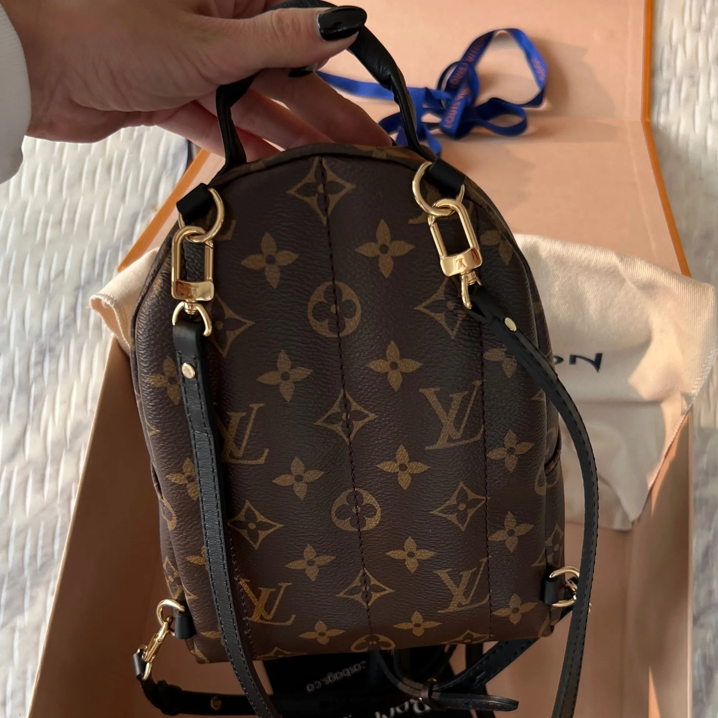 Louis Vuitton Palm Springs Mini Bag