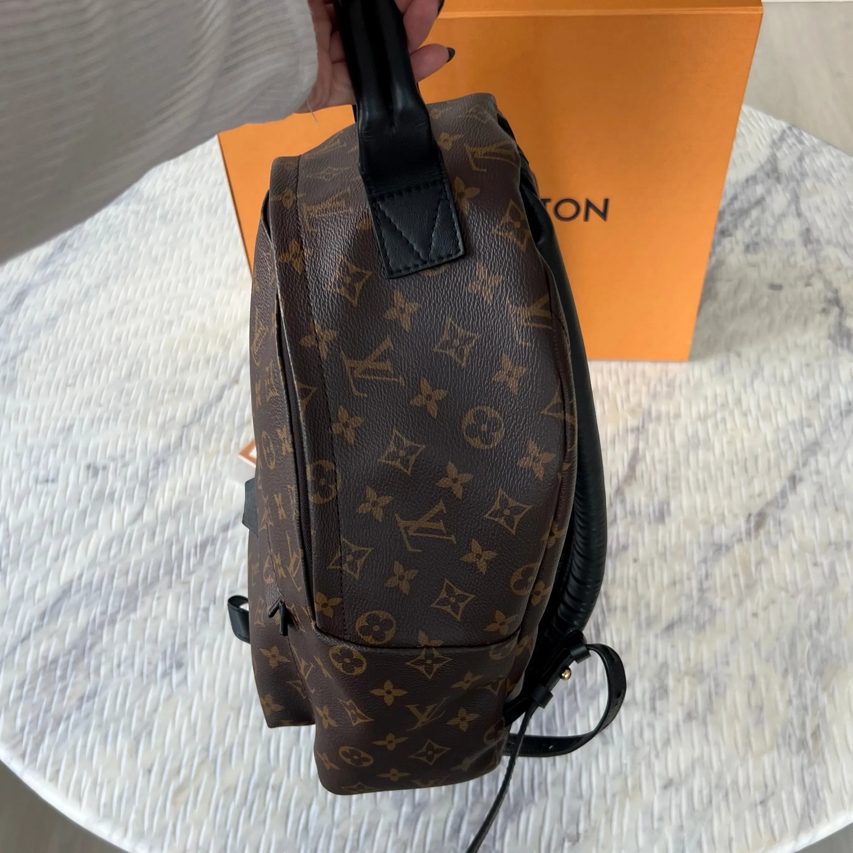 Louis Vuitton Palm Springs MM Bag