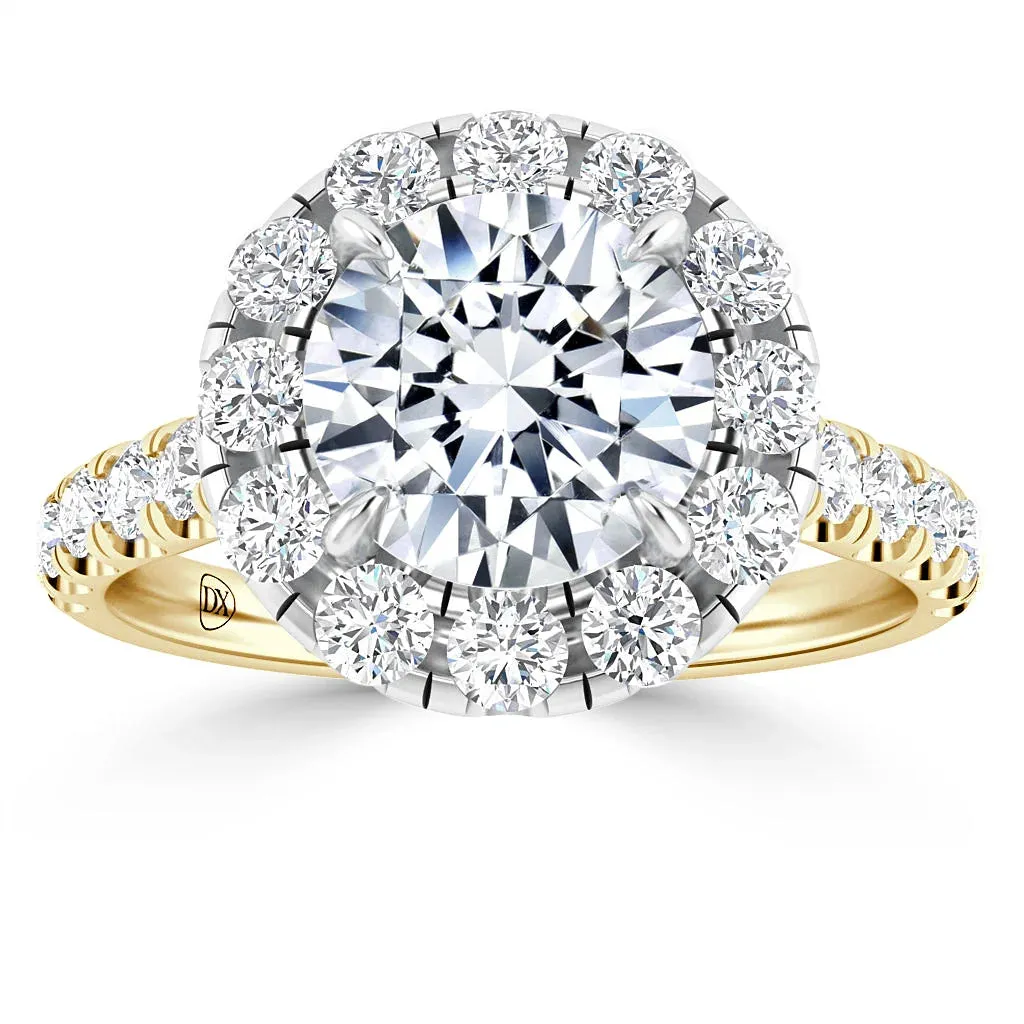 Sadie - 18ct Yellow Gold - Round