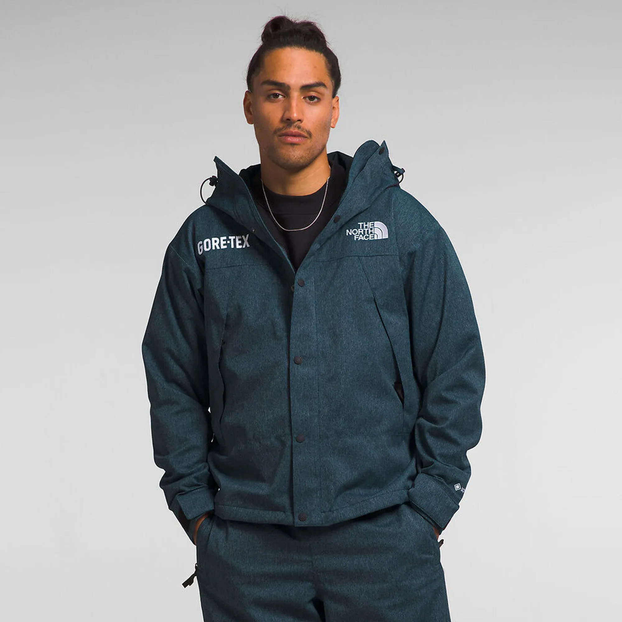 The North Face Mens GTX MTN Jacket